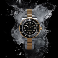 Thumbnail for VO133SS - VOYAGER SILVER / GOLD SUB